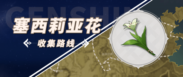 原神塞西莉亚花采集地点