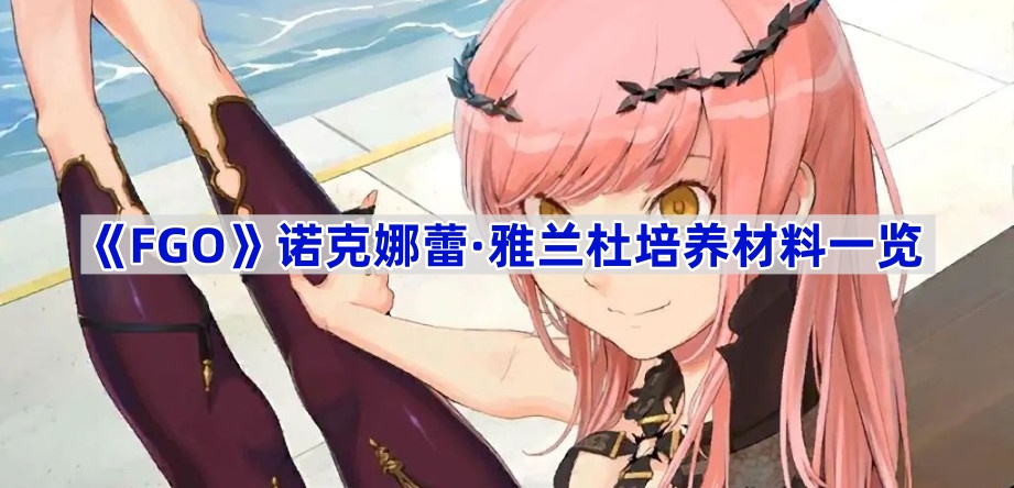 《Fate/Grand Order》诺克娜蕾·雅兰杜培养材料一览